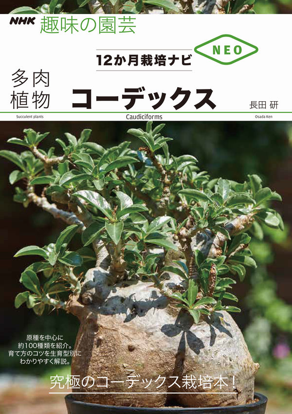 趣味の園芸コーデックス